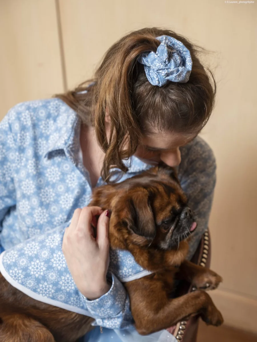 Manteau pour chien bleu ciel à imprimé flocons Reine des Neiges – Image 9