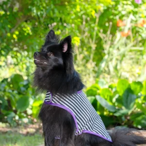 Manteau pour chien Made in France en coton rayé noir et blanc Beetlejuice | Chérie et Dandy