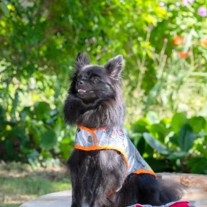Manteau pour Chien Maisons Hantées en Coton Imprimé Maisons Hantées