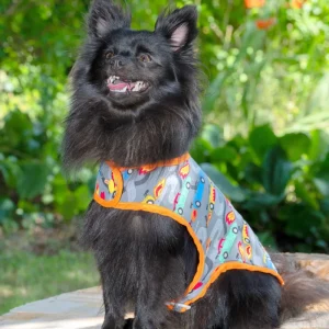 Manteau pour Chien Pilote de Formule 1 en Coton Imprimé Voitures