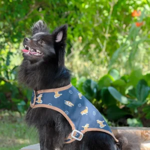 Manteau pour Chien en Coton Bleu Marine Imprimé Shiba Viens ici Médor !