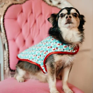 Manteau pour chien Made in France Je voudrais un bonhomme de Neige | Chérie et Dandy