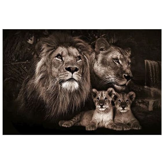 Tableau Lion, Lionne & Lionceaux – Bonheur Familial – Image 6