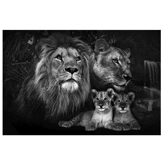 Tableau Lion, Lionne & Lionceaux – Bonheur Familial – Image 7