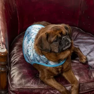 Manteau pour chien en brocart fleuri bleu Prince Charmant