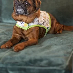 Manteau pour chien Made in France imprimé Le Monde des Sorciers